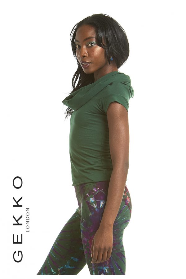 virtuemart_product_gekko1102191536-copy